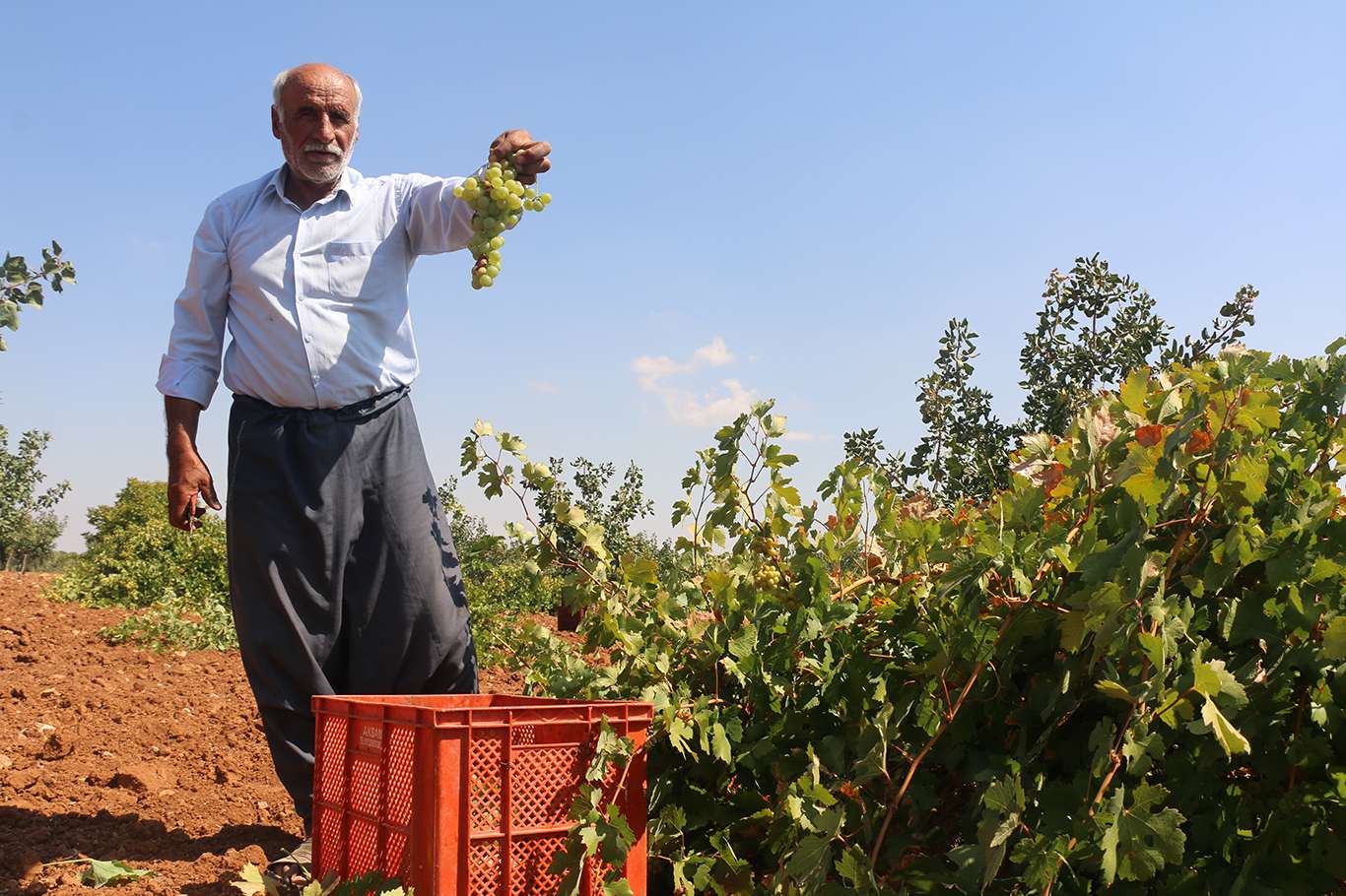 Şanlıurfa'da kazanlar yöresel lezzetler için kaynadı